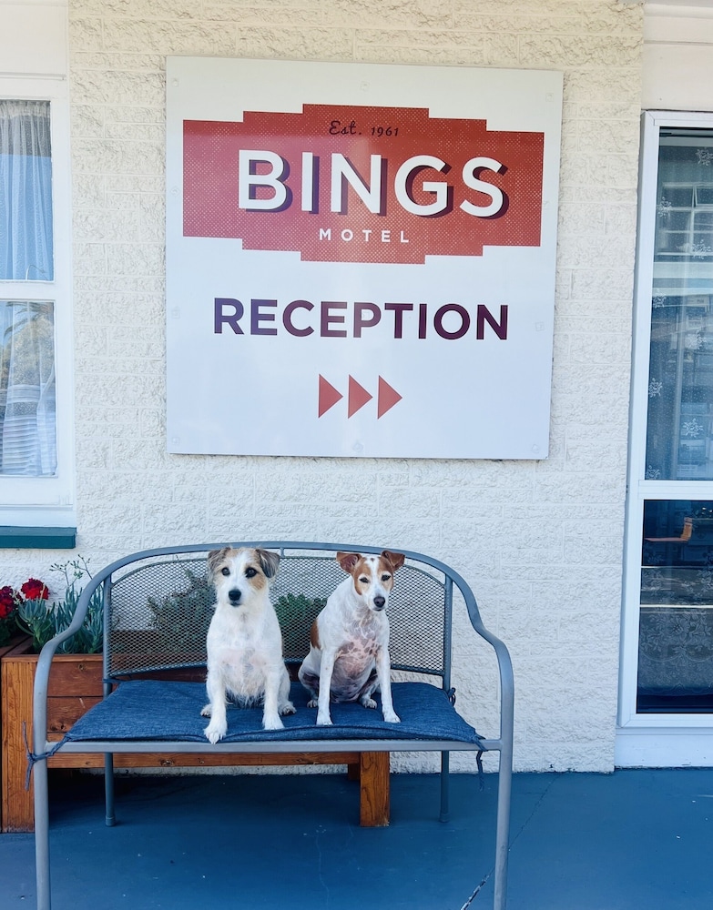 Bings Motel — hotel in Blenheim