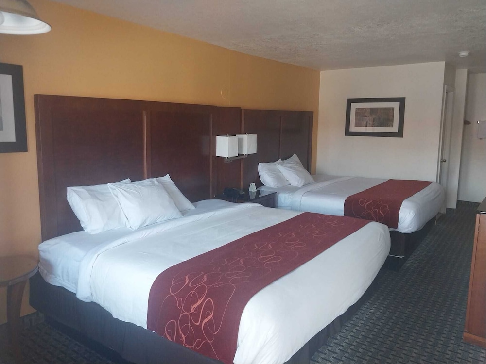 Vermilion Inn - photo 5