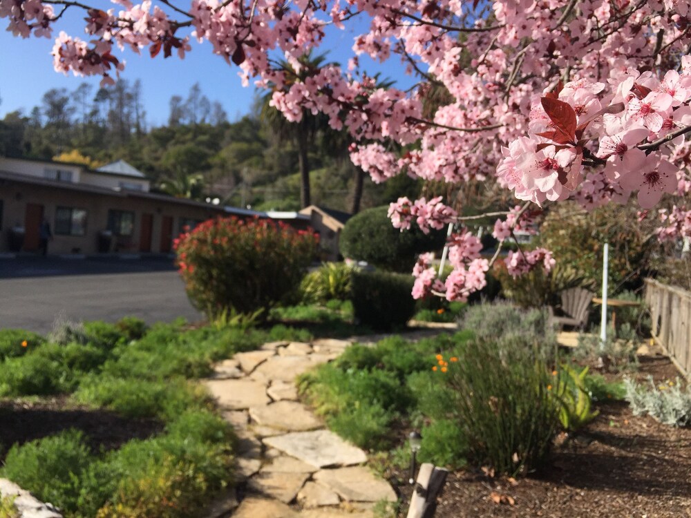 Cambria Palms Motel - photo 19