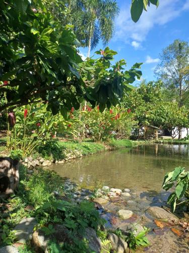 El Cacaotal Finca Faura #5 3H in San Ramon, Peru