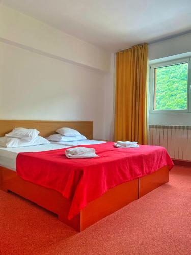 Hotel International — Baile Herculane — photo 3