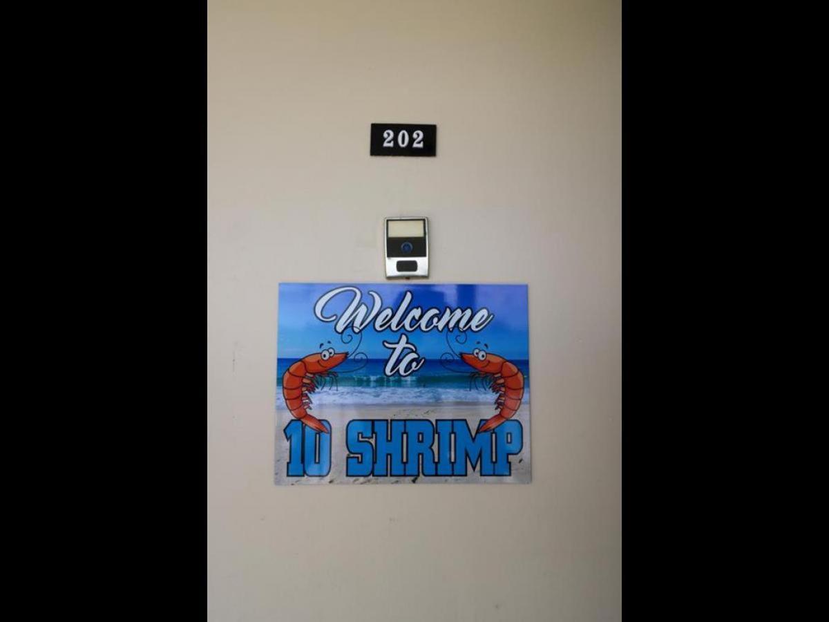 Sand Dollar Two 202 - carbon neutral hotel in Saint Augustine