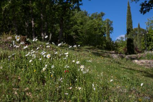 Le Parfum Bleu in Avignon, France