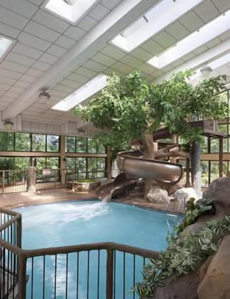 The Park Vista a DoubleTree by Hilton Hotel Gatlinburg - photo 21