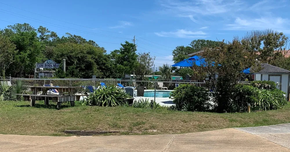 Cape Pines Motel - photo 15