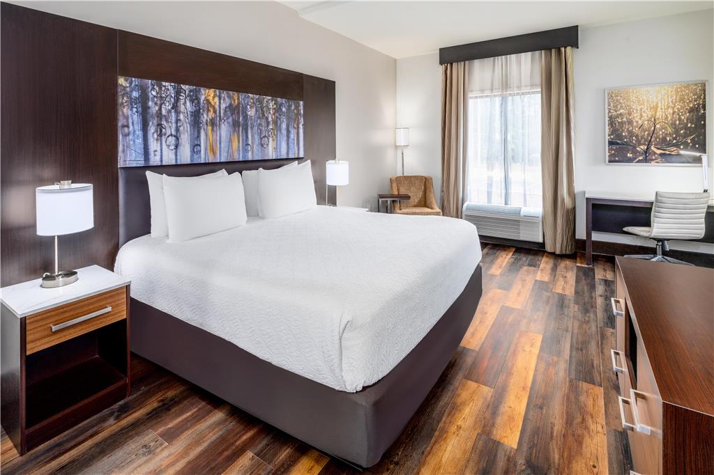 Aiden by Best Western Warm Springs Hotel and Event Center - photo 25