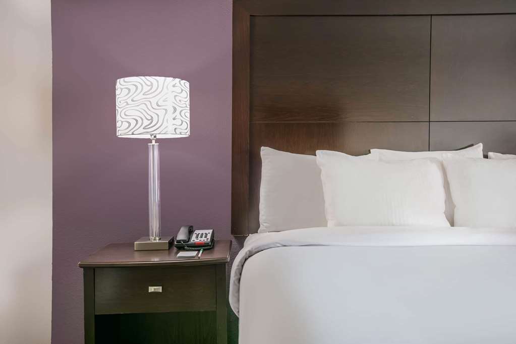 La Quinta Inn & Suites by Wyndham DFW Airport West Euless - photo 23