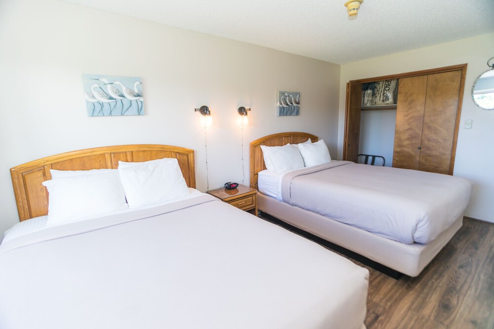 The Canterbury Inn - photo 46