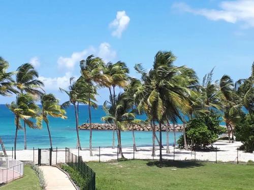 Blue Paradise Studio avec acces privatif plage — 4-Star Luxury Hotel in Le Gosier, Guadeloupe