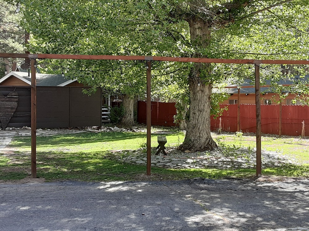 Grey Squirrel Resort - photo 168