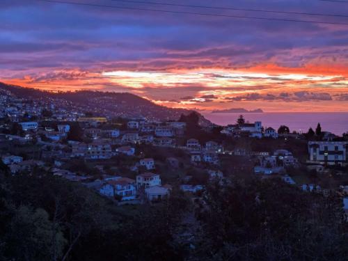 Alojamento Funchal Silvestre House — 4-Star Luxury Hotel in Funchal, Portugal