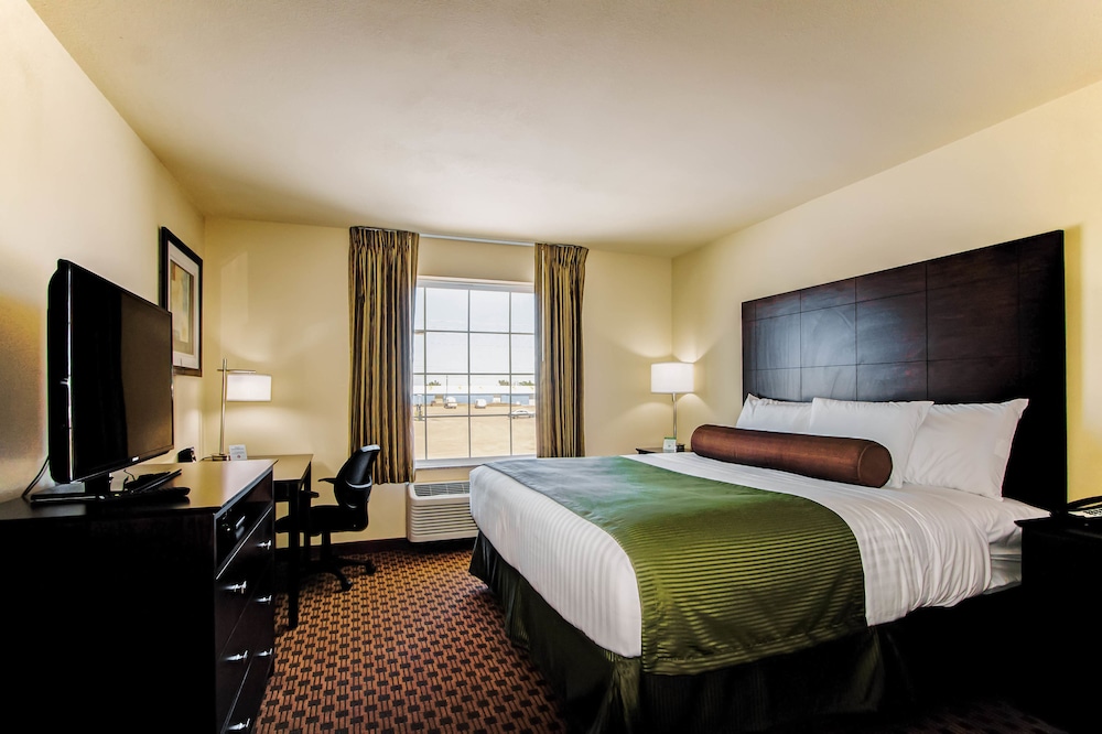 Cobblestone Inn & Suites Eads - photo 9