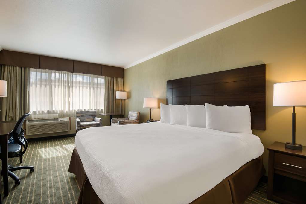 Best Western Holiday Hotel - photo 11