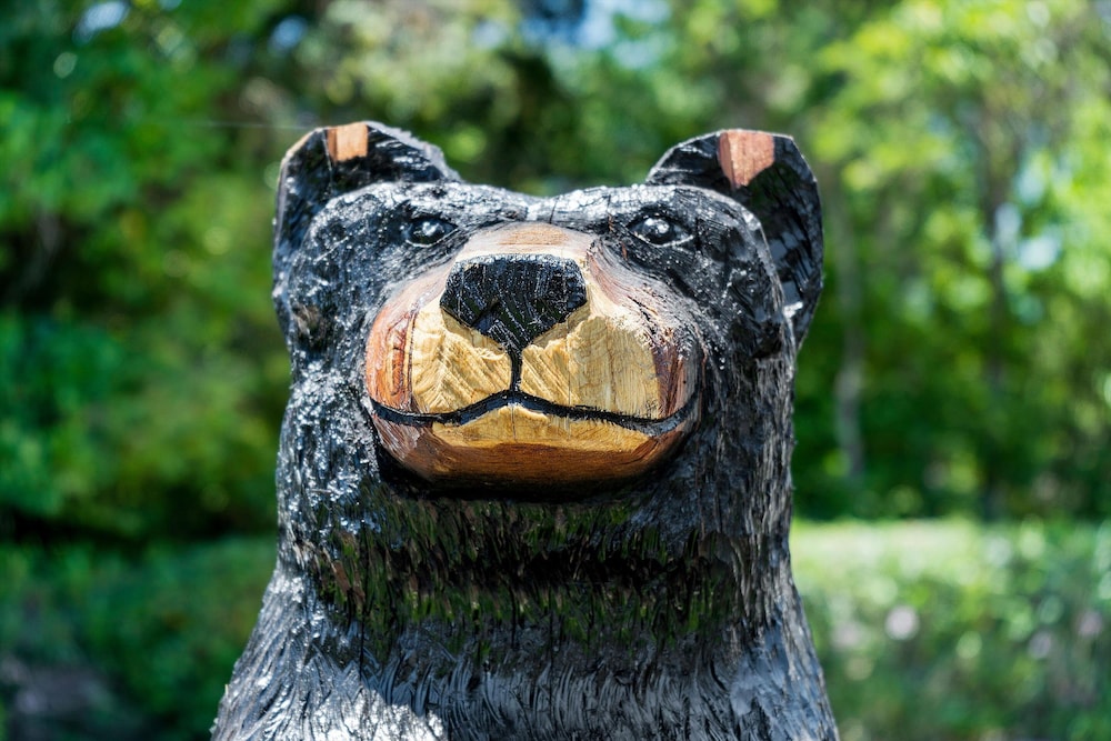 Cinnamon Bear Creekside Inn - photo 46