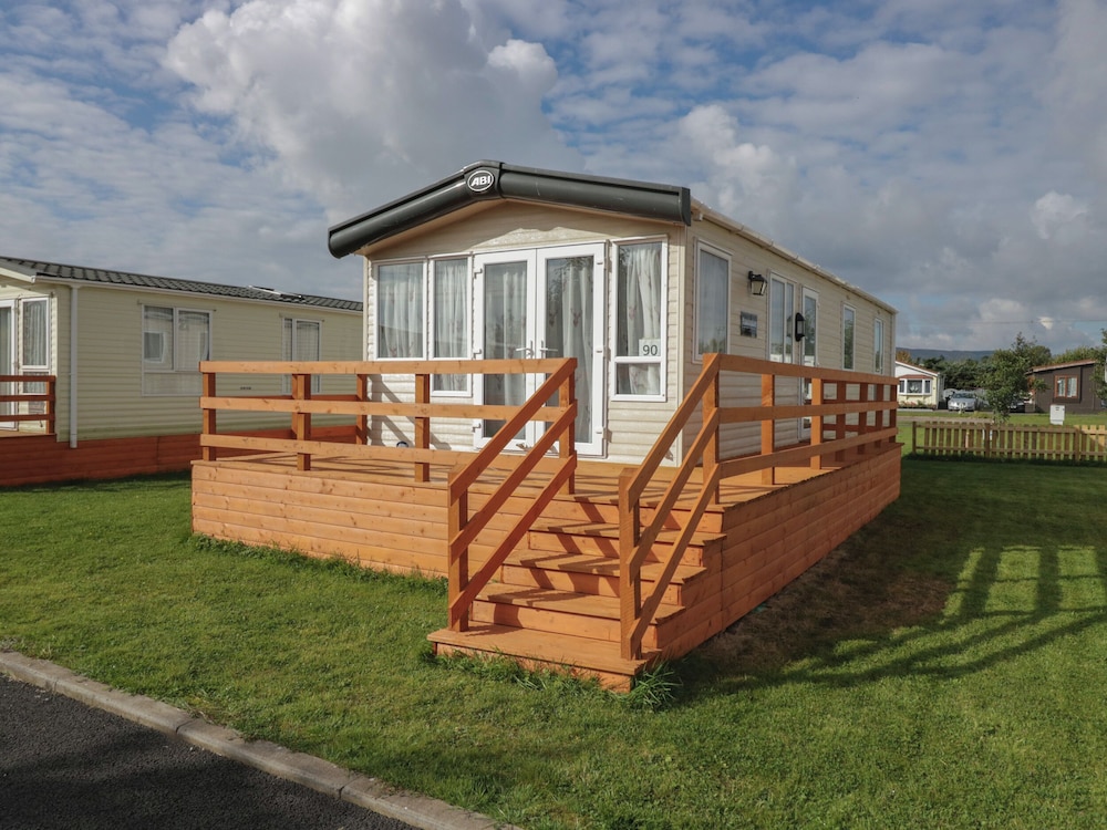 Elm in Denny, United Kingdom