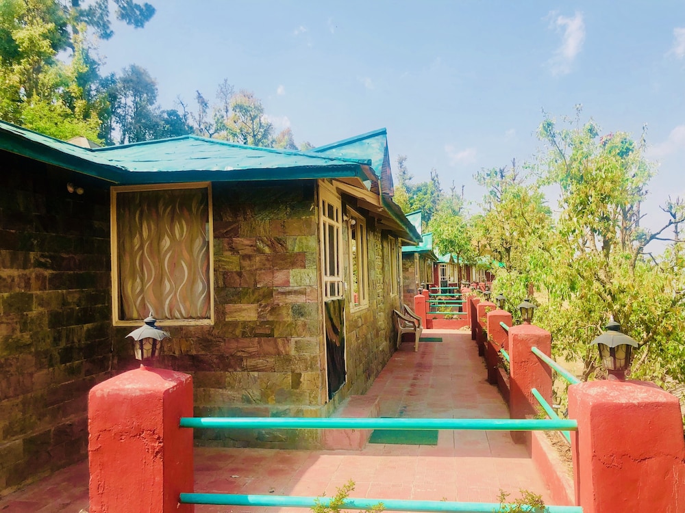 Trinetra Orchards in Dhari, India