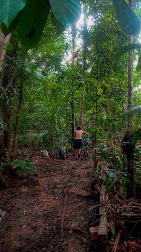 Viverde selva Redario natural in Santarem, Brasil