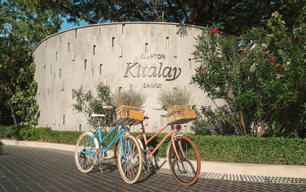 מראה חיצוני