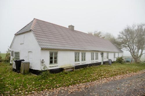 Cut Branches Make Fire And Gaze At Treetops in Nykobing Mors, Denmark