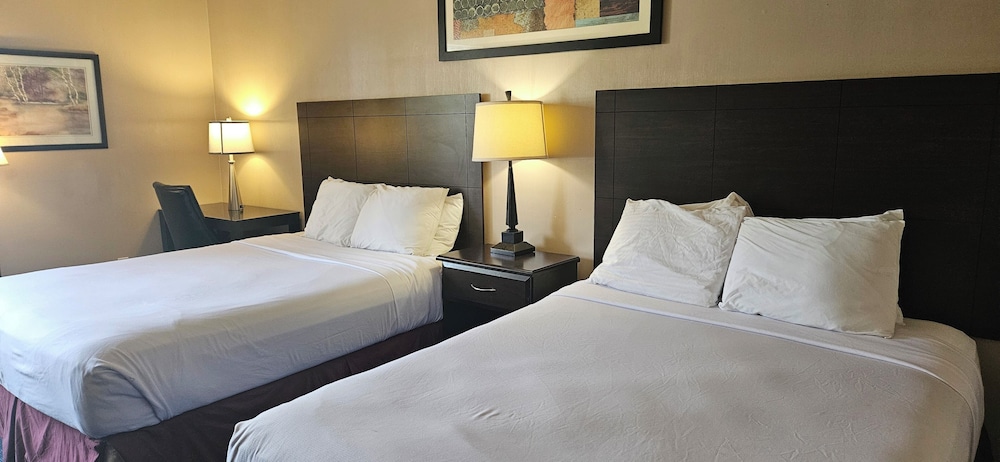 Bellis Inn - photo 18