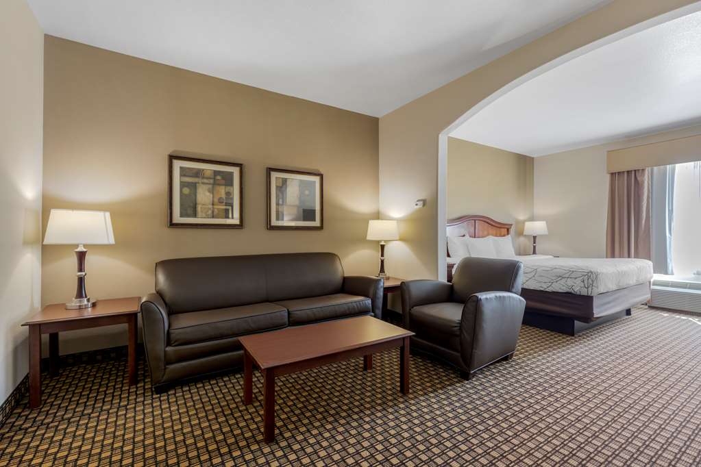 Best Western Plus Sweetwater Inn & Suites - photo 7