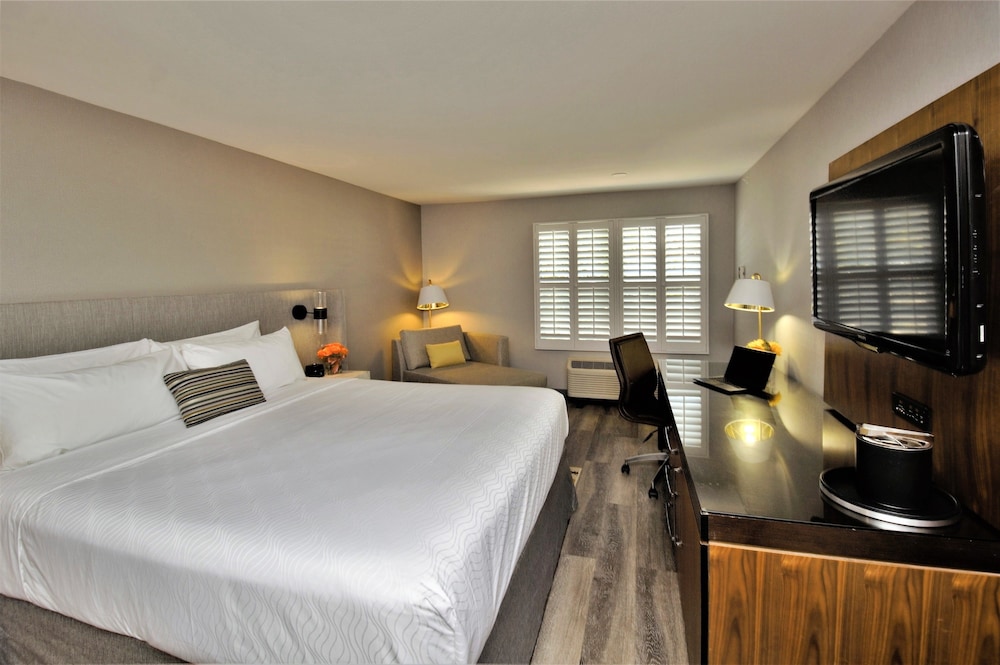Hotel Indigo Napa Valley by IHG - photo 12
