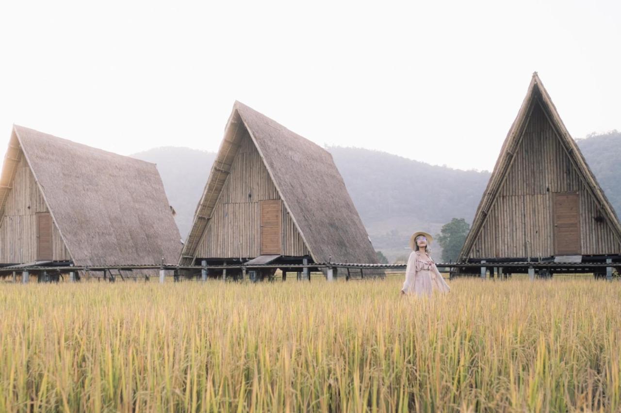 Khao Kiang Na — Mae Taeng