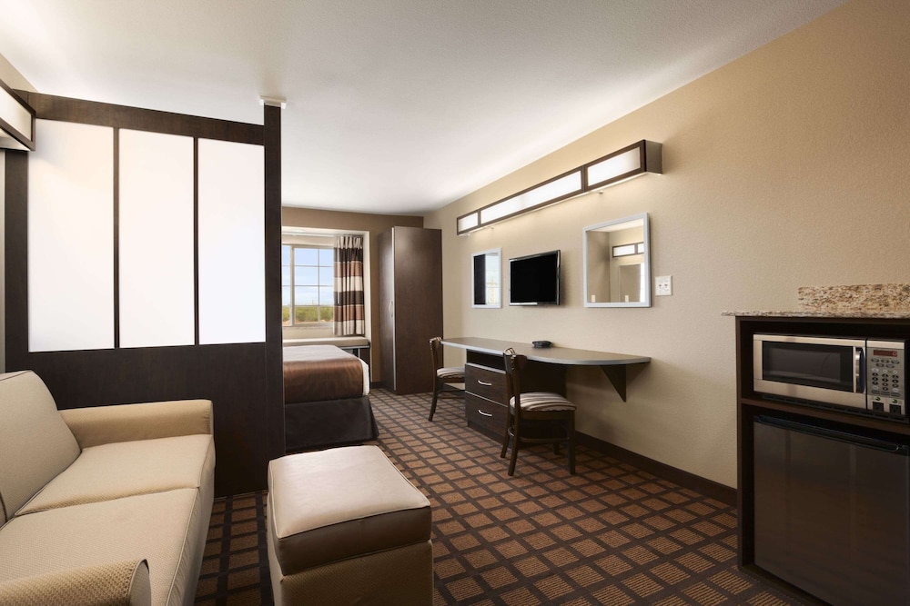 Microtel Inn & Suites by Wyndham Cotulla - photo 10