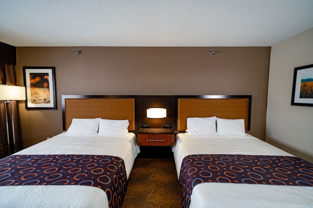 Royal River Casino and Hotel - photo 9