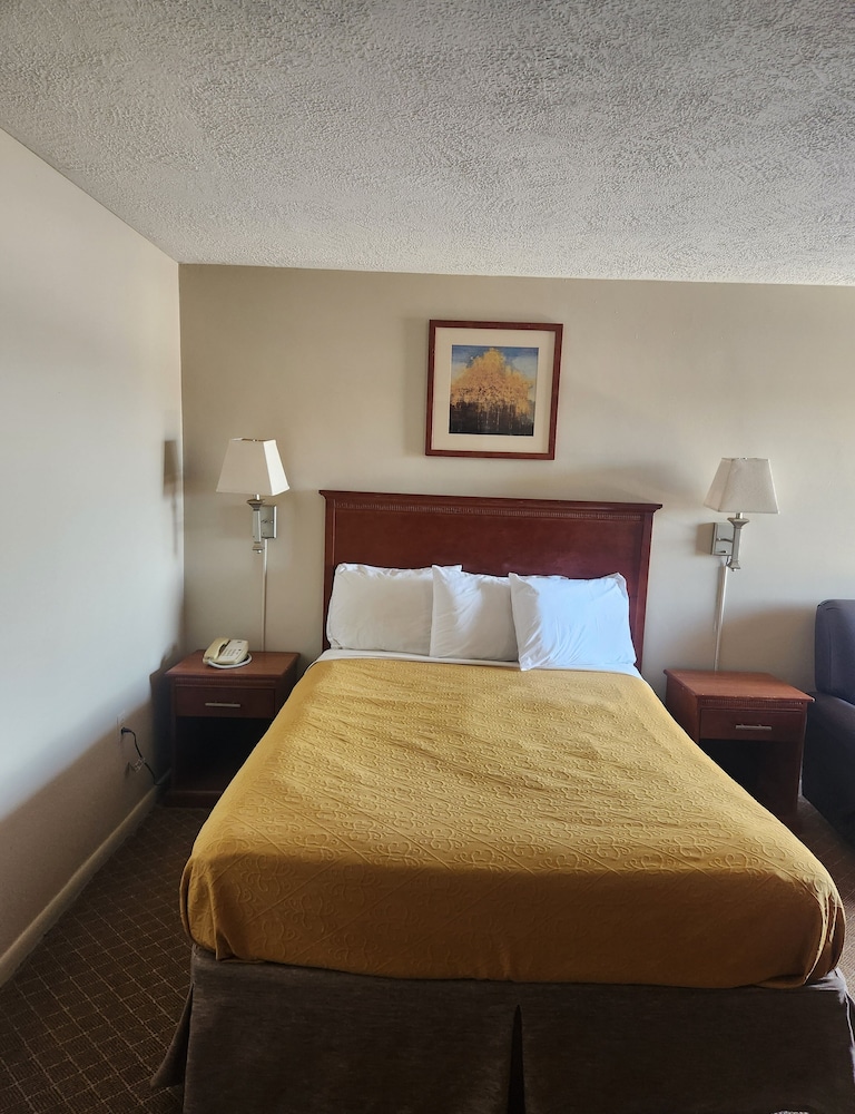 Royal Motel - photo 23