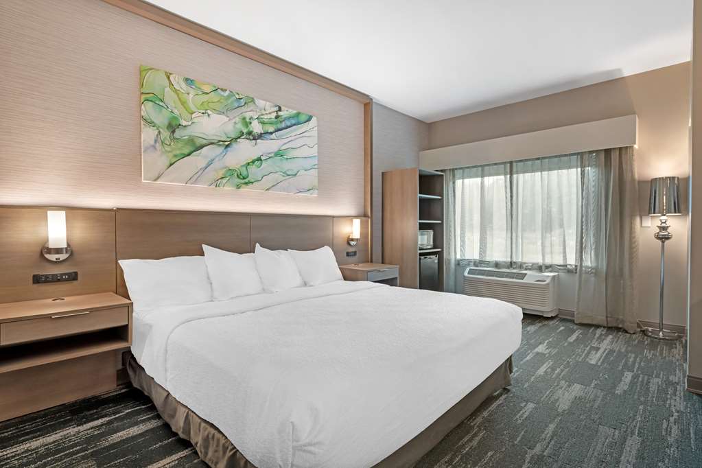 Best Western Plus Grand Rapids MN - photo 28
