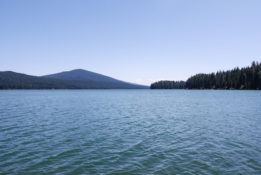 Shelter Cove Resort and Marina - photo 136