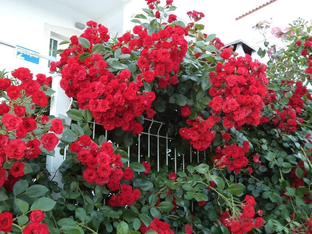 Rita in Mertola, Portugal