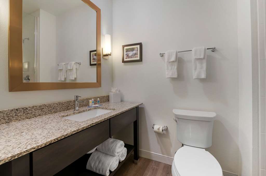 Comfort Suites Cincinnati University Downtown - photo 25