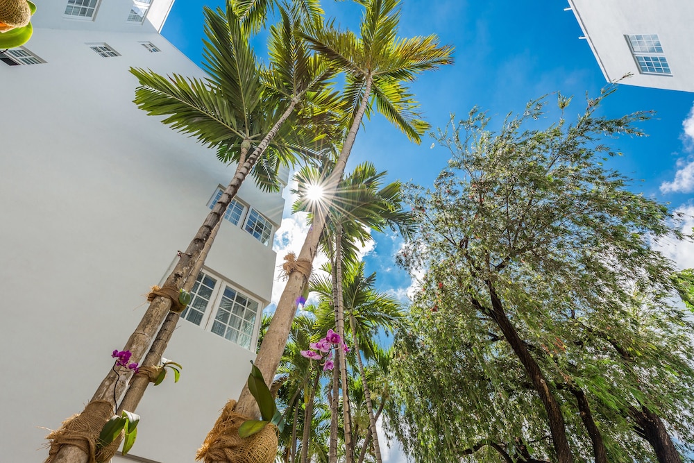 Hotel Belleza - photo 158