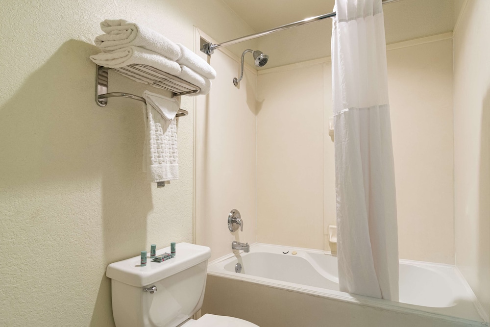 Best Western Windsor Suites - photo 30