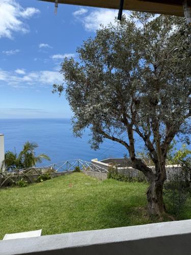 Cozy Sea View House Fajã da Ovelha — 4-Star Luxury Hotel in Calheta, Portugal