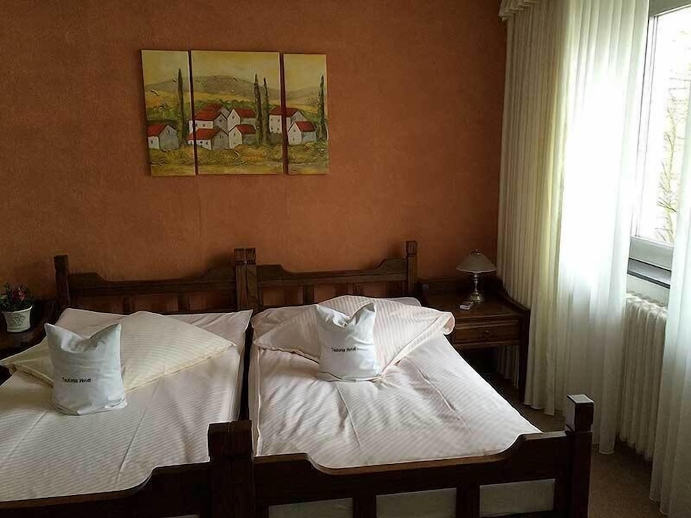 Teutonia Hotel — Bad Meinberg — photo 5