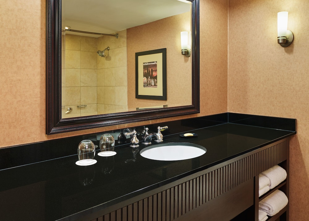 Sheraton Lisle Naperville Hotel - photo 19