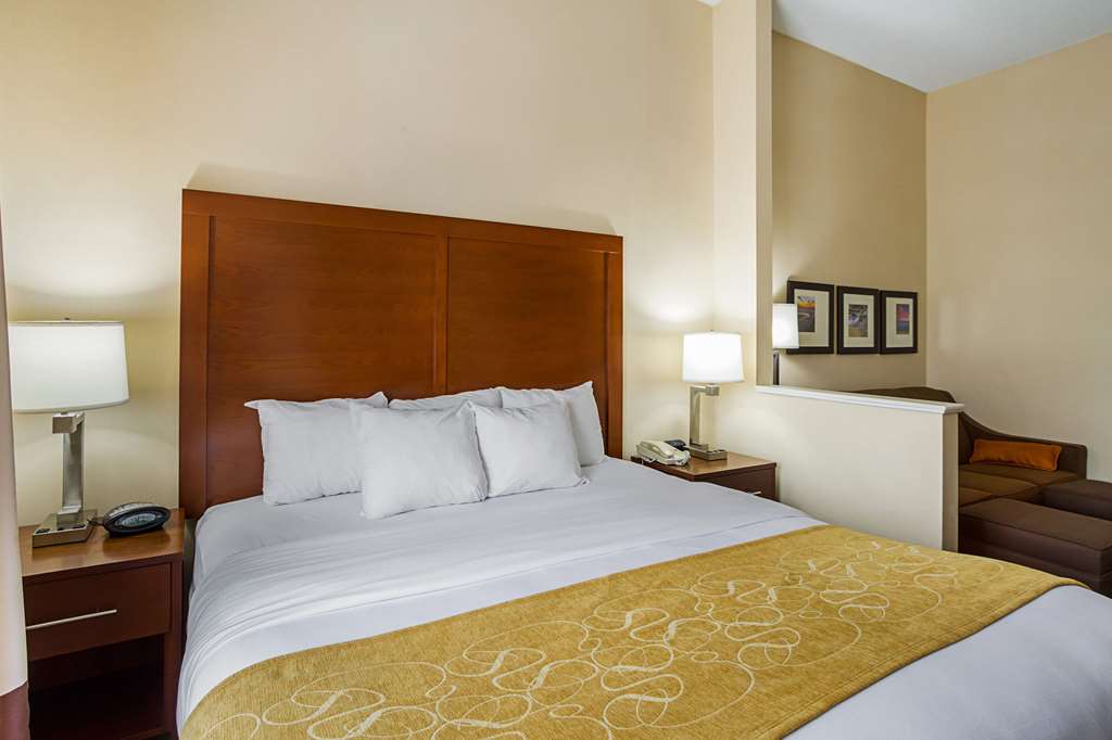 Comfort Suites Twinsburg - photo 24
