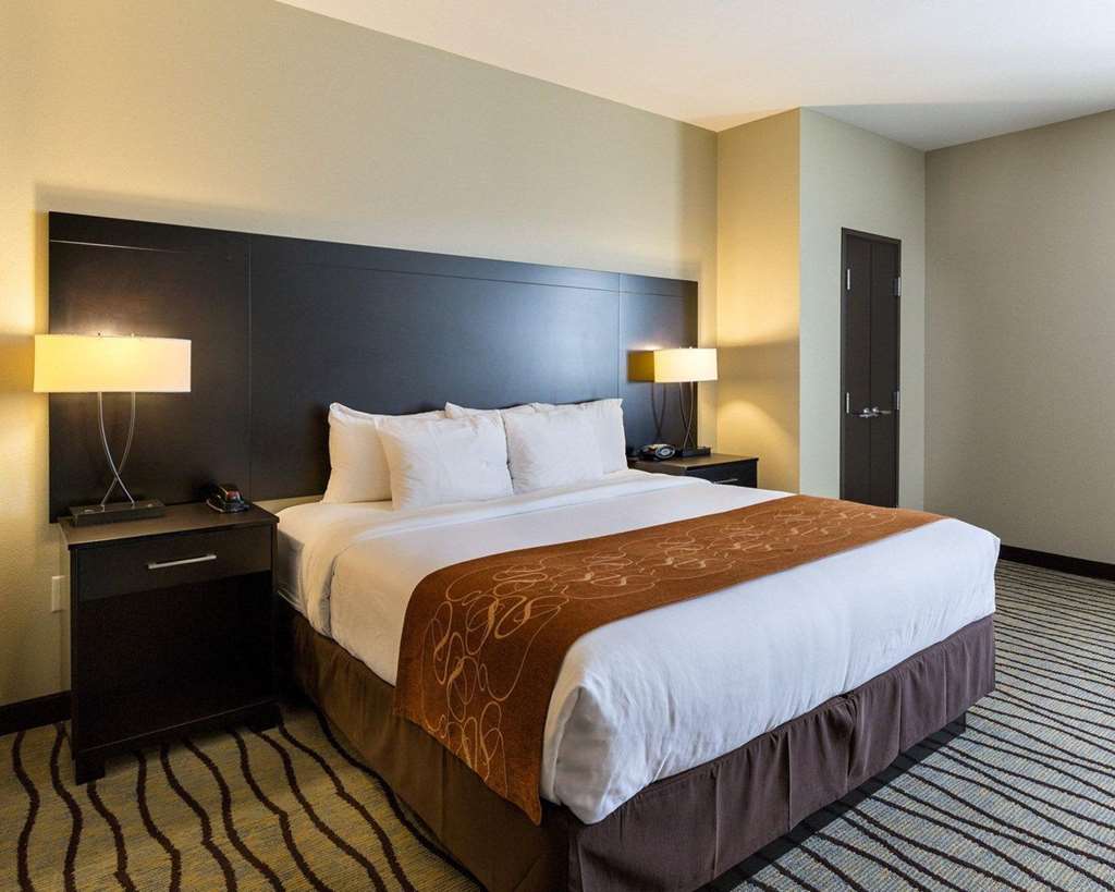 Comfort Suites near Westchase on Beltway 8 - photo 15