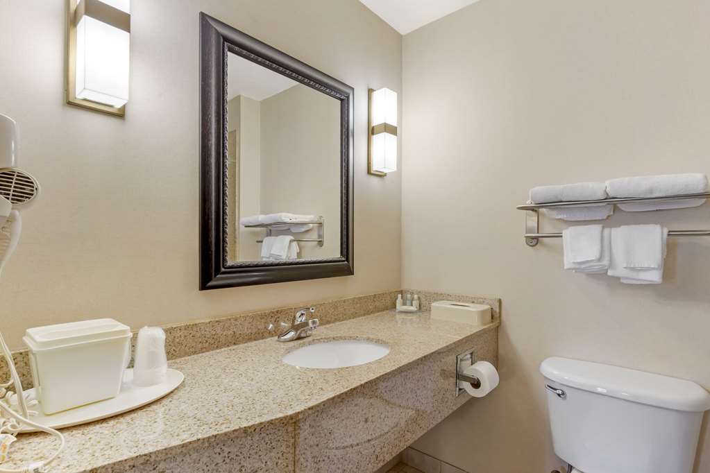 Quality Inn Raleigh Downtown - photo 10