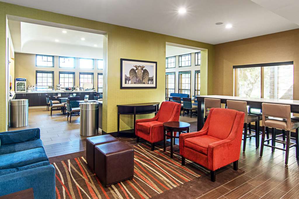 Comfort Suites NW Dallas Near Love Field - photo 10