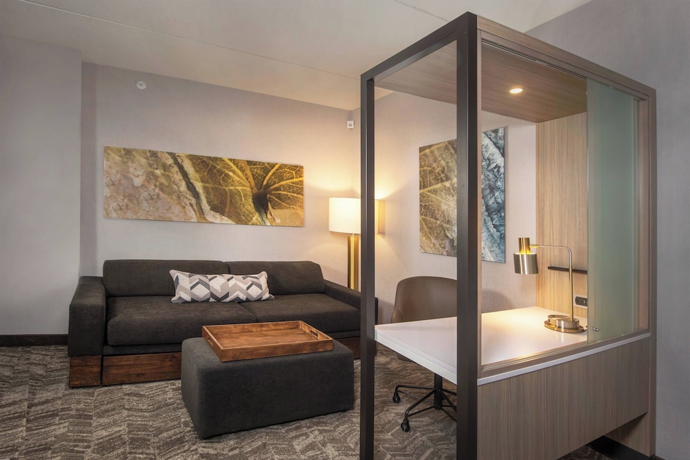 SpringHill Suites by Marriott Frederick - photo 13