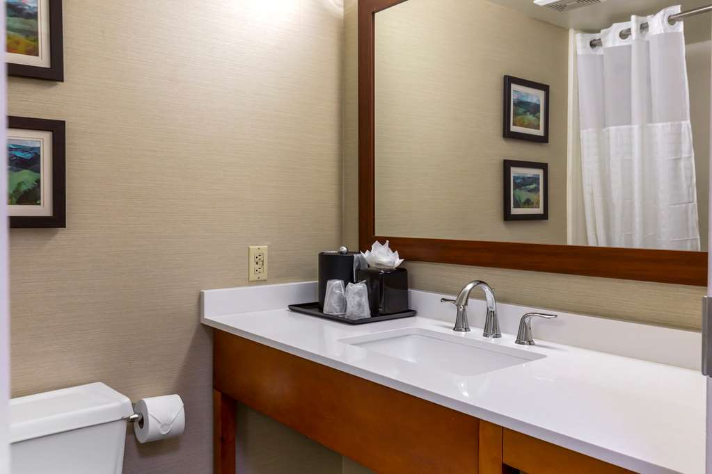 Comfort Inn University Durham Chapel Hill - photo 16