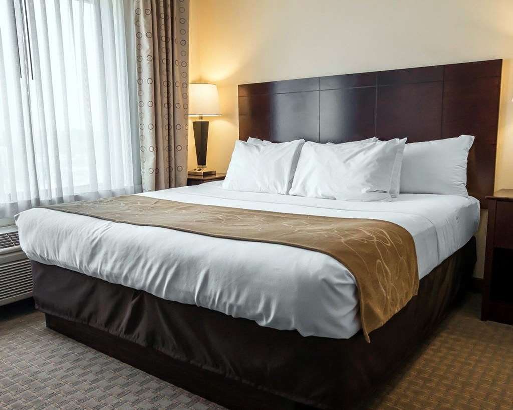 Comfort Suites University Area Notre Dame South Bend - photo 18