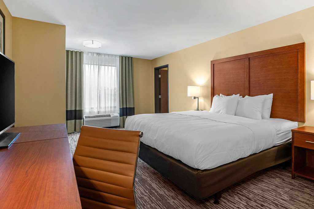 Comfort Inn and Suites Ames near ISU Campus - photo 20