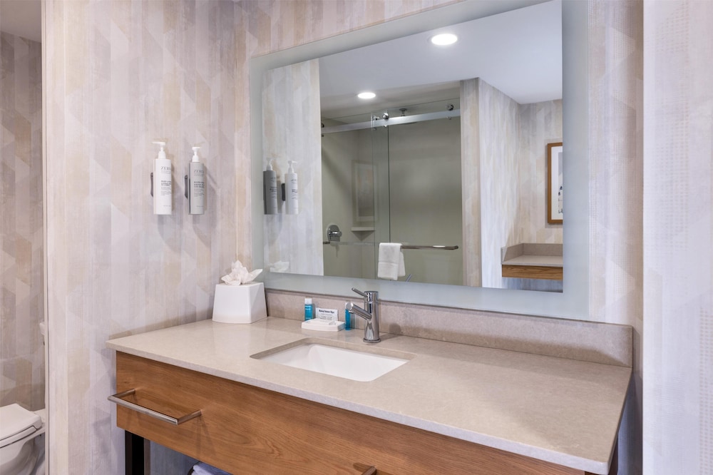 Hampton Inn Lawrenceville Duluth - photo 42