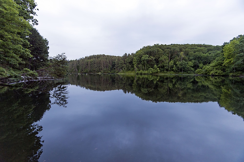 Greenbo Lake State Resort Park - photo 33