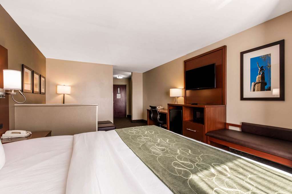 Comfort Suites Tuscaloosa near University - photo 7